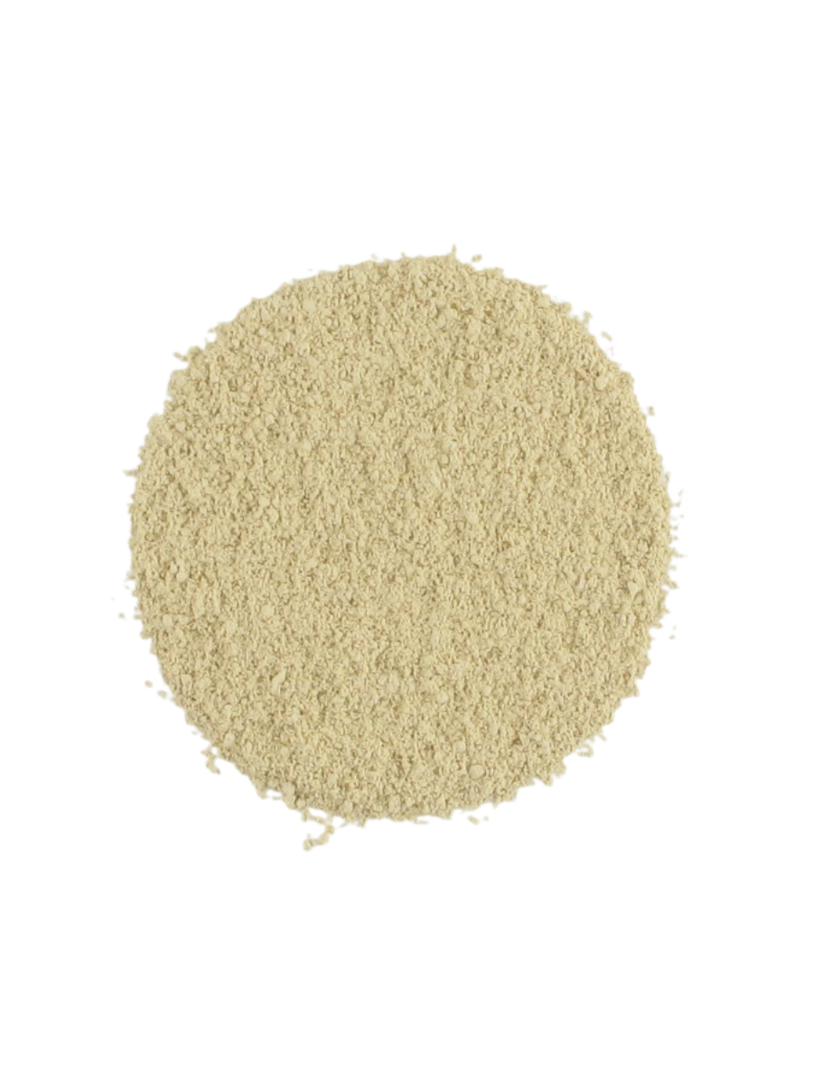 Foundation Ivory Sample