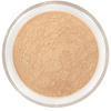 Highlighter Neutral Glow